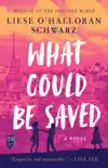 What Could Be Saved synopsis, comments