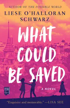 what could be saved book cover image