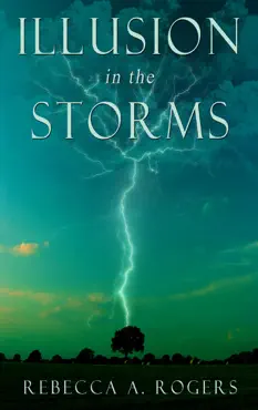 illusion in the storms book cover image