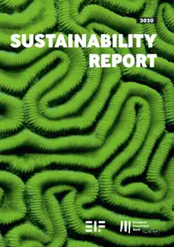 european investment bank group sustainability report 2020 book cover image