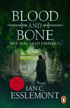 blood and bone imagen de la portada del libro