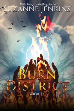 burn district 1 book cover image