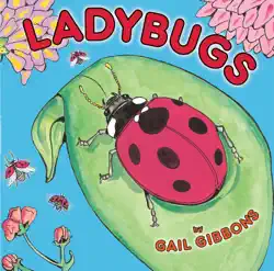 ladybugs book cover image
