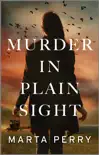 Murder in Plain Sight synopsis, comments