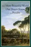 The More Beautiful World Our Hearts Know Is Possible synopsis, comments