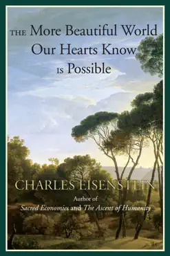 the more beautiful world our hearts know is possible book cover image