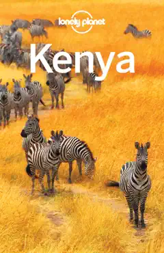 kenya travel guide book cover image