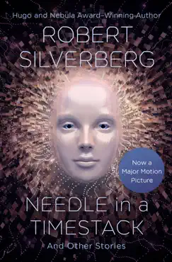needle in a timestack book cover image
