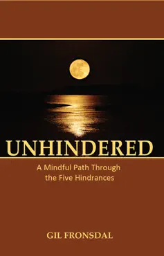 unhindered book cover image