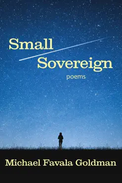 small sovereign book cover image