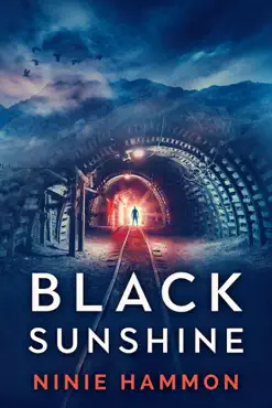 black sunshine book cover image
