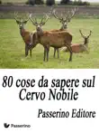 80 cose da sapere sul Cervo Nobile synopsis, comments