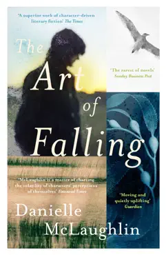 the art of falling imagen de la portada del libro
