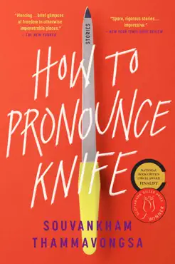 how to pronounce knife book cover image