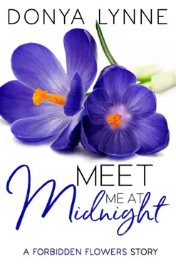 meet me at midnight book cover image
