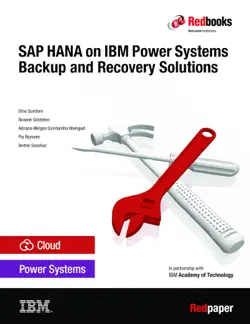 sap hana on ibm power systems backup and recovery solutions imagen de la portada del libro