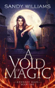 a void of magic book cover image