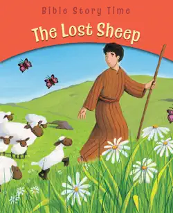 the lost sheep book cover image