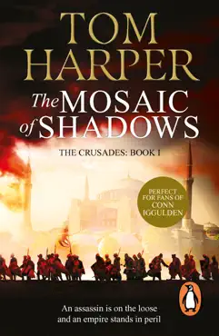 the mosaic of shadows book cover image