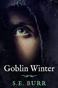 goblin winter book cover image