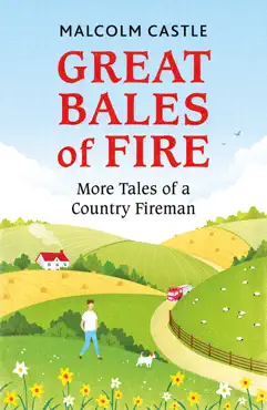 great bales of fire imagen de la portada del libro