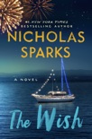 The Wish book synopsis, reviews