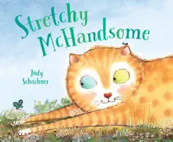 stretchy mchandsome book cover image