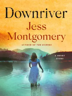 downriver book cover image