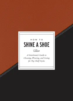 how to shine a shoe book cover image