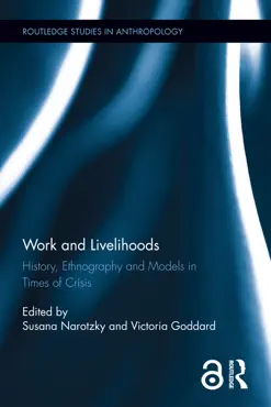 work and livelihoods book cover image
