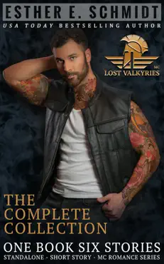 lost valkyries mc book cover image