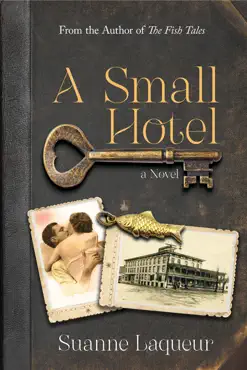 a small hotel book cover image