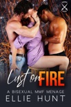 Lust on Fire: A Bisexual MMF Menage