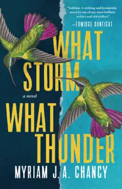 what storm, what thunder book cover image