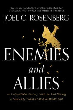 enemies and allies book cover image