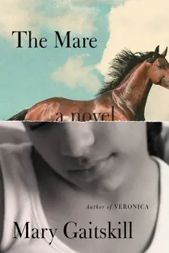 the mare book cover image