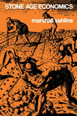 stone age economics book cover image