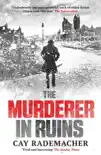 The Murderer in Ruins synopsis, comments
