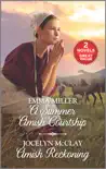 A Summer Amish Courtship and Amish Reckoning synopsis, comments