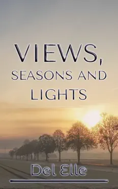 views, seasons and lights book cover image