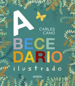 abecedario ilustrado book cover image