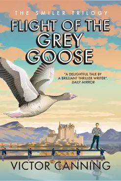 flight of the grey goose book cover image