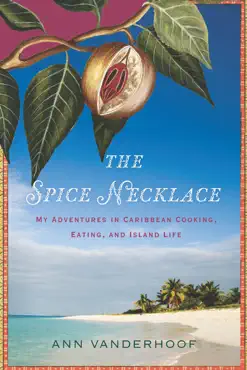 the spice necklace book cover image