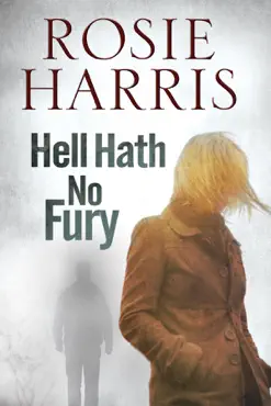 hell hath no fury imagen de la portada del libro