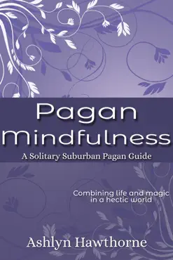 pagan mindfulness book cover image
