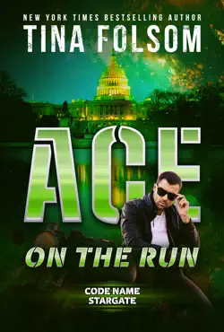 ace on the run book cover image