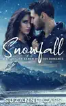 Snowfall synopsis, comments