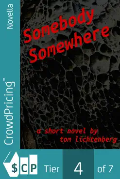 somebody somewhere book cover image