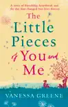 The Little Pieces of You and Me synopsis, comments
