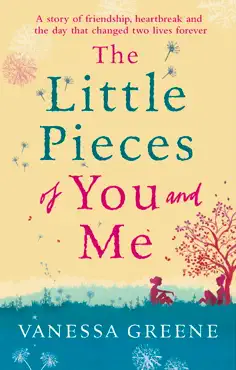 the little pieces of you and me book cover image
